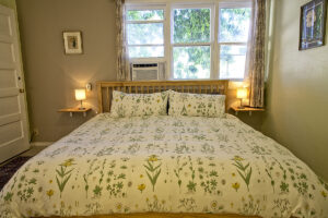 room 102 bedroom
