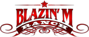blazin m ranch logo
